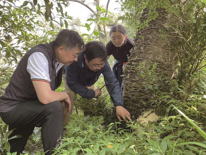 圖片關鍵詞